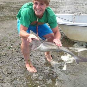 Meet your Posher, Sam